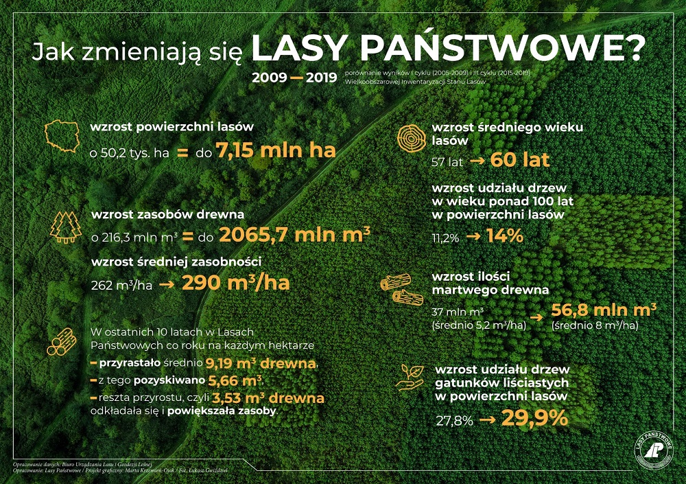 Infografika jak zmieniają się Lasy Państwowe