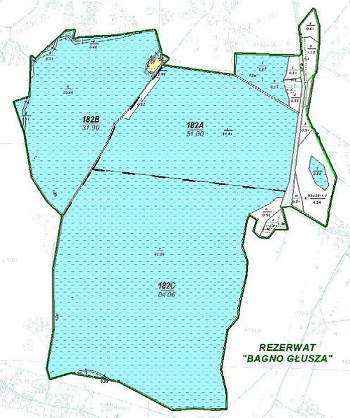 Mapa sytuacyjna rezerwatu przyrody "Bagno Głusza" (źródło: BULiGL Oddział w Szczecinku)