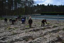 Pracownicy nadleśnictwa sadzą las