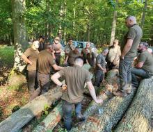 Szkolenie z klasyfikacji jakościowo-wymiarowej drewna