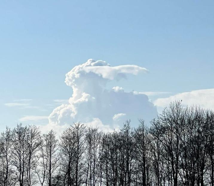 Wielkanocny&#x20;zając&#x20;w&#x20;obłokach&#x20;chmur