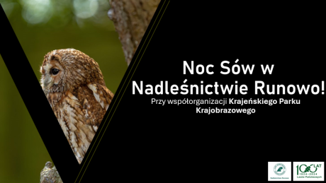 Noc Sów w Nadleśnictwie Runowo!